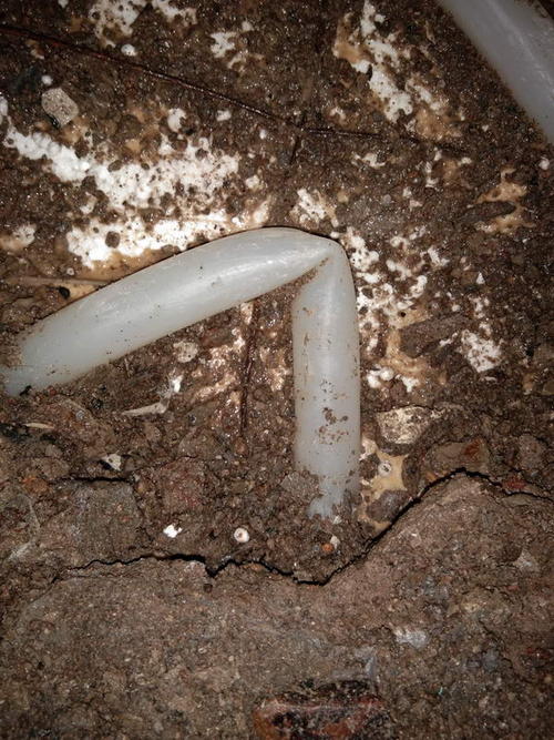 田林堵点精准查找